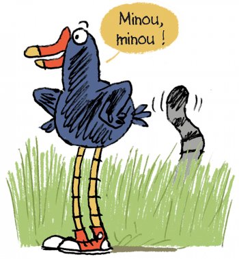 Pouldo à la recherche du chat sauvage