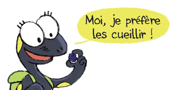 Sam et les mûres