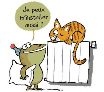 Crap et le chat domestique