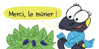 Sam et le mûrier