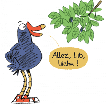 Sam et le mûrier