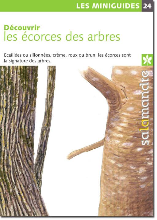 Le rituel du bouleau - La Salamandre