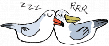 Mouette et goéland