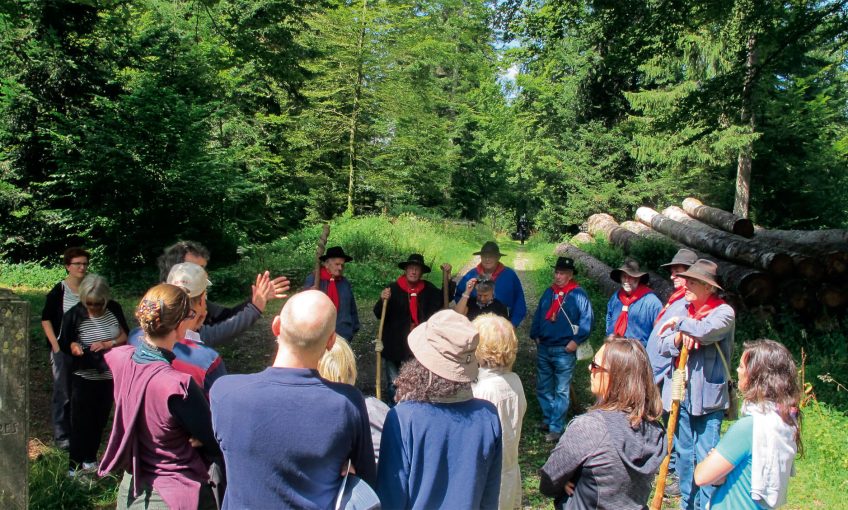 Le Jorat rêve d’un parc naturel - La Salamandre