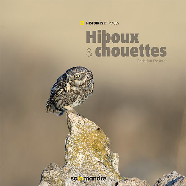 Chouette de poche - La Salamandre