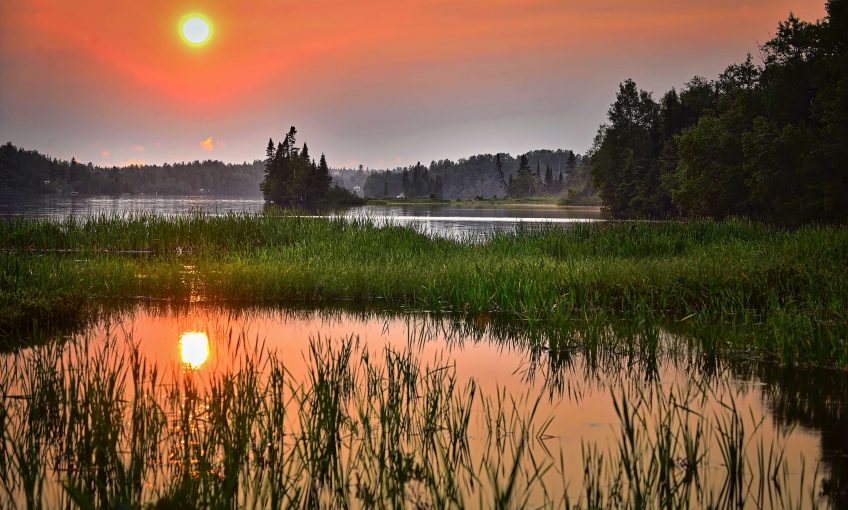 Il y a 150 ans mourait le Grand Marais - La Salamandre