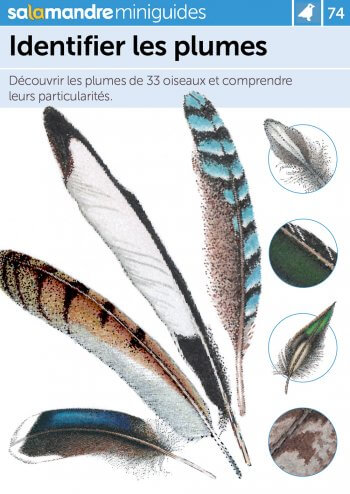 Miniguide 74 : Identifier les plumes