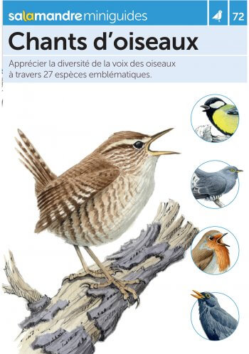 Miniguide 72 : Chants d’oiseaux