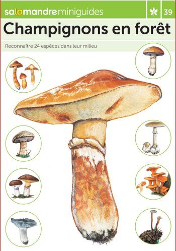 Miniguide 39 : Champignons en forêt