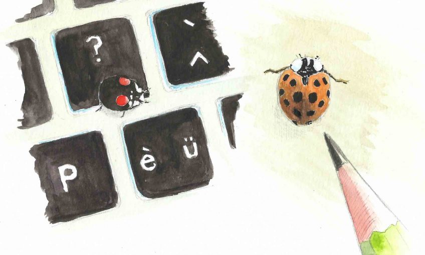 L'incruste de la coccinelle