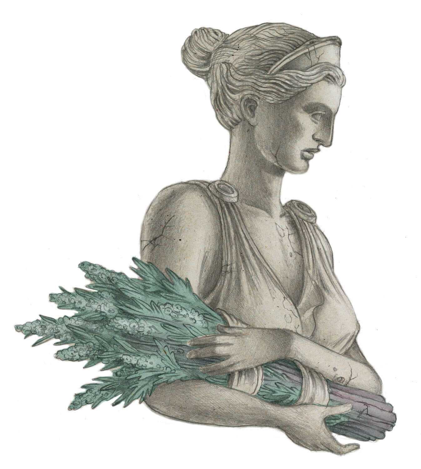 Maudite Aphrodite - La Salamandre
