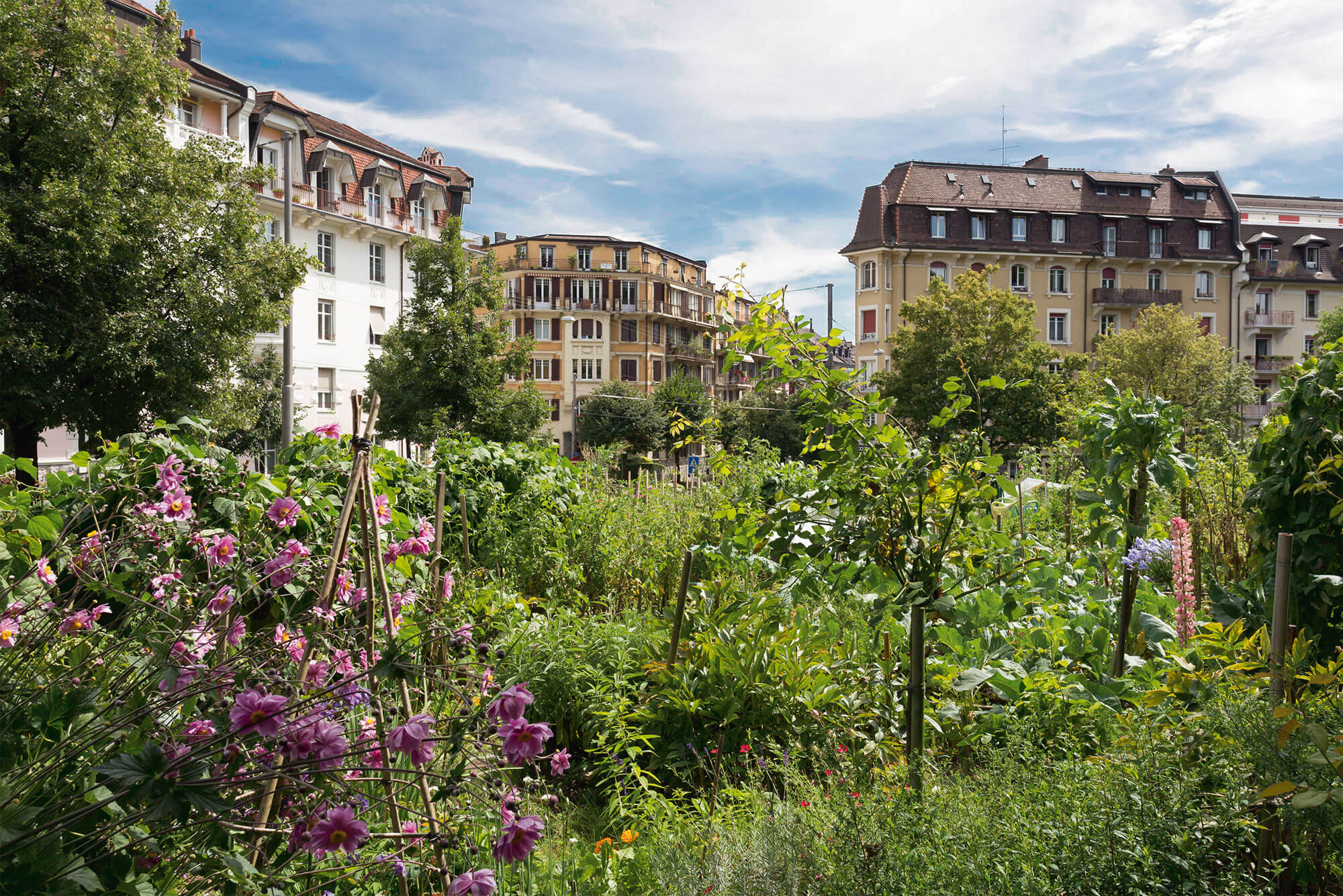 Jardin : Garden Party - La Salamandre