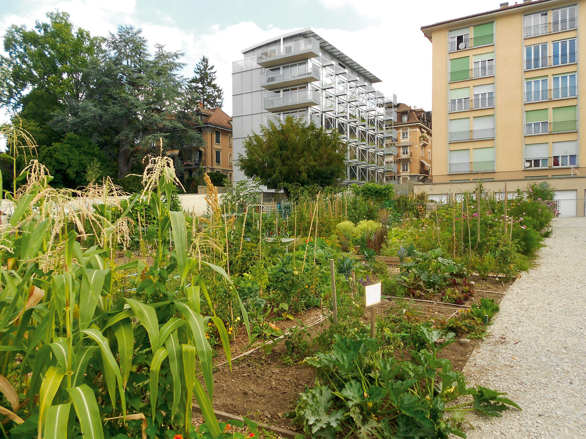 Jardin : Garden Party - La Salamandre