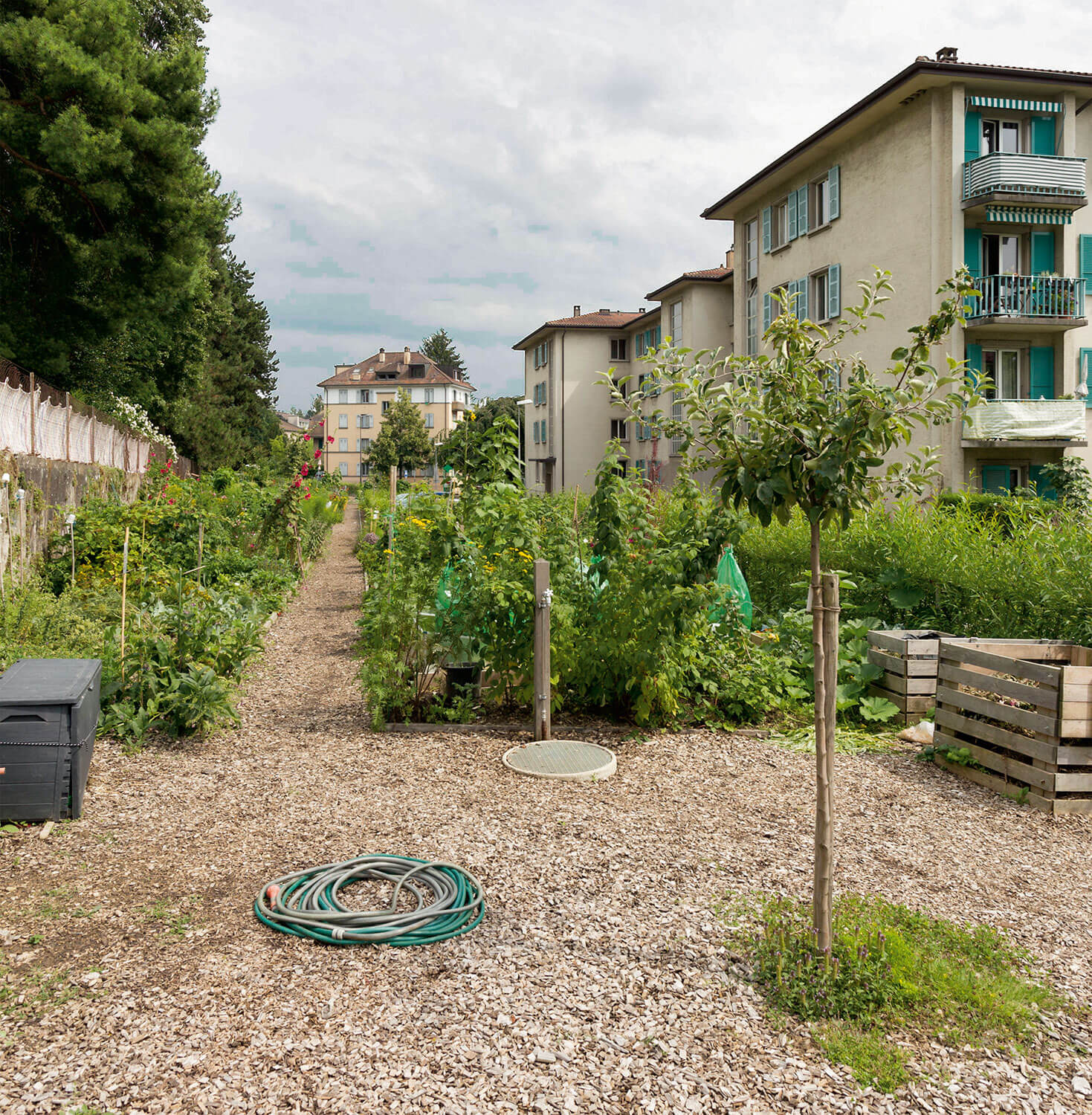 Jardin : Garden Party - La Salamandre