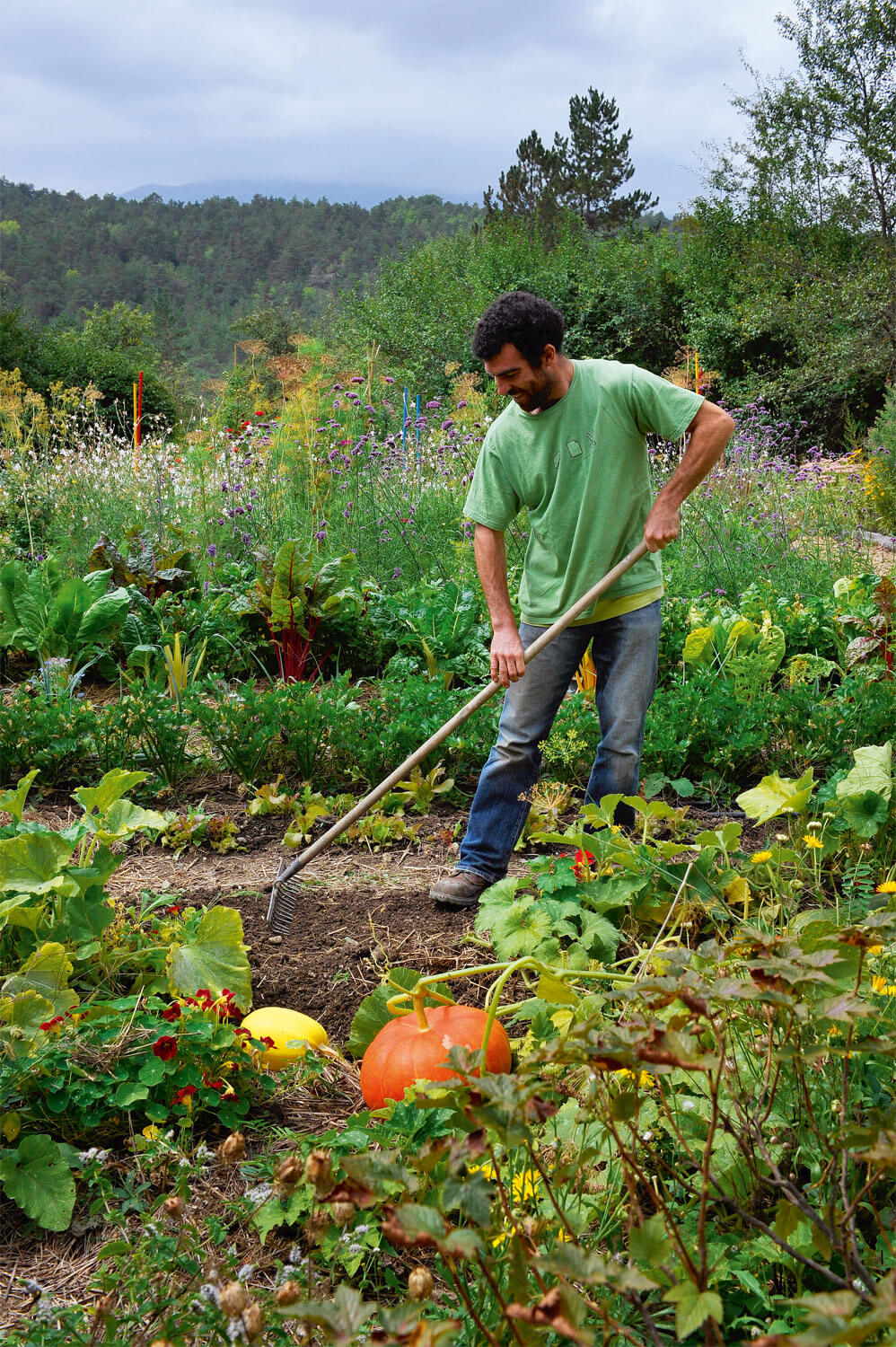 Jardin : Garden Party - La Salamandre