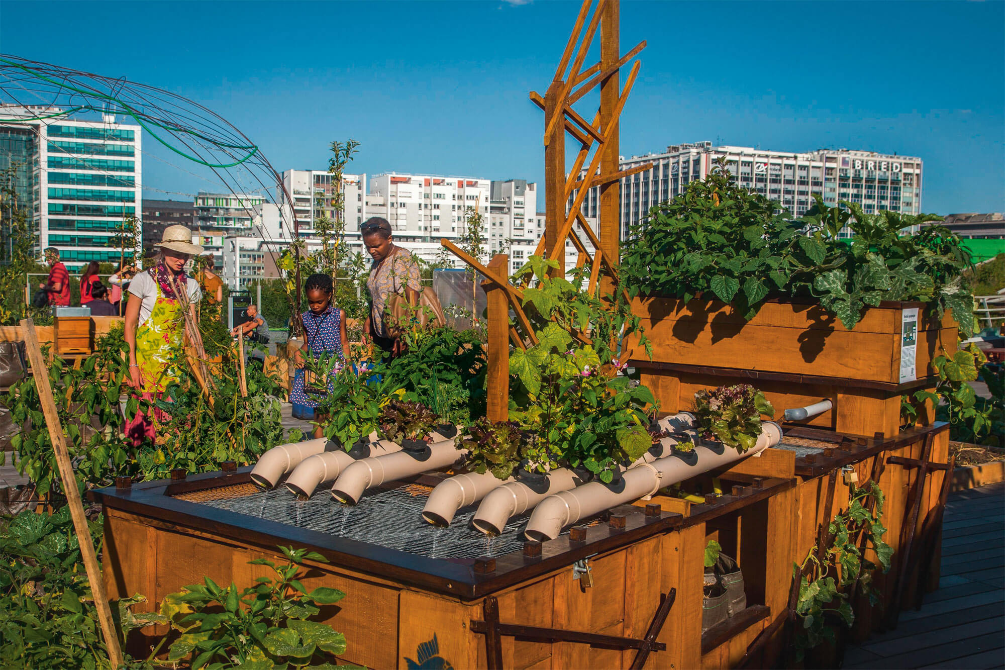 Jardin : Garden Party - La Salamandre