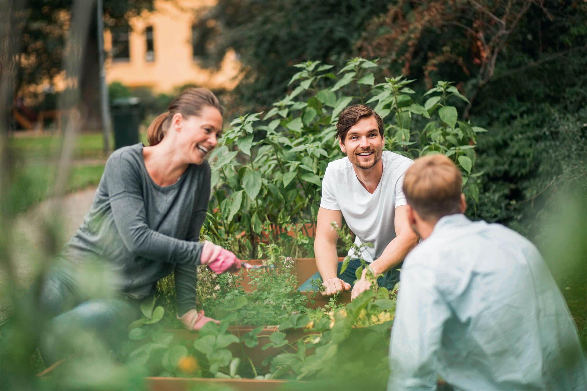 Jardin : Garden Party - La Salamandre