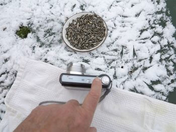Fabriquez une caméra cachée pour filmer les oiseaux de la mangeoire