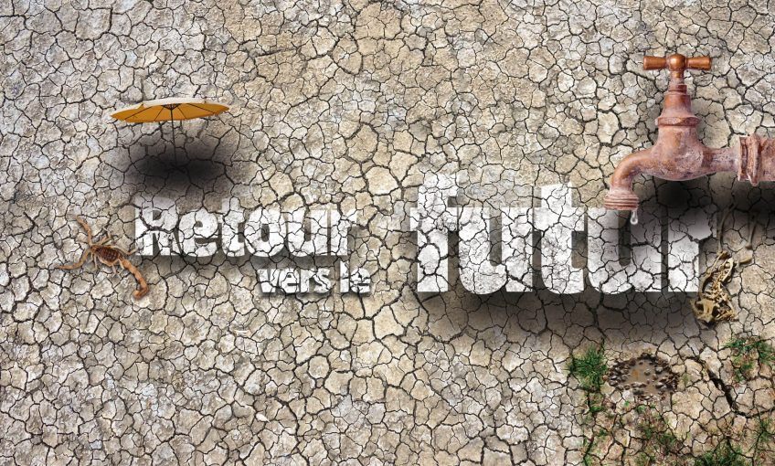 Economie d'eau : Retour vers le futur - La Salamandre