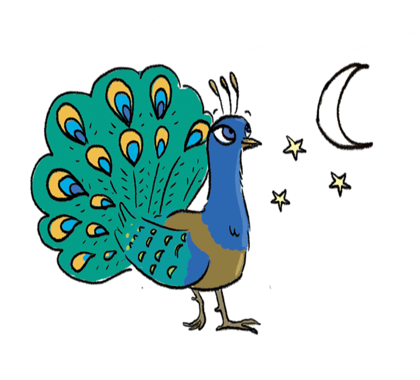 Un paon de nuit ?
