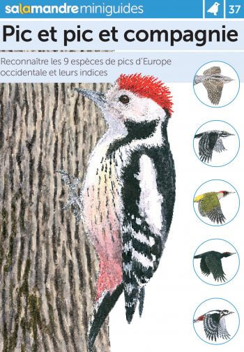 Miniguide 37: Les pics