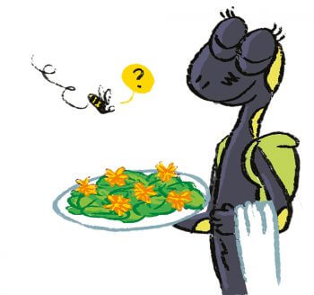 Un repas de fleur