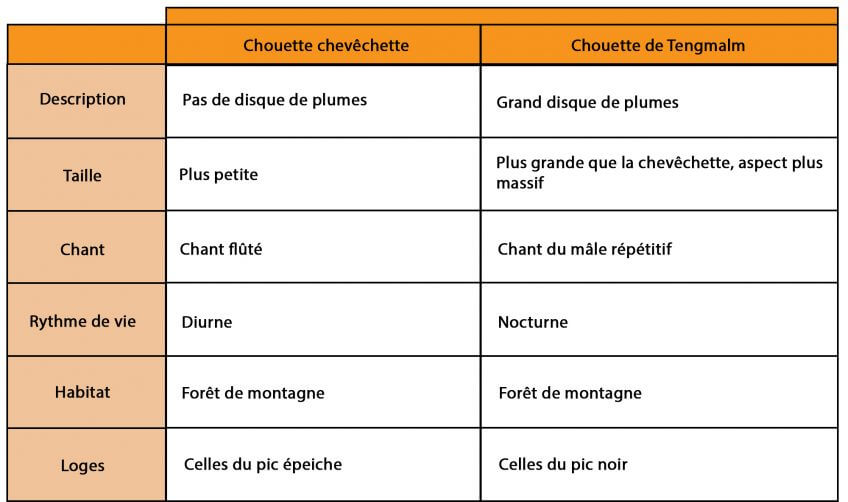 Tableau pour chouettes