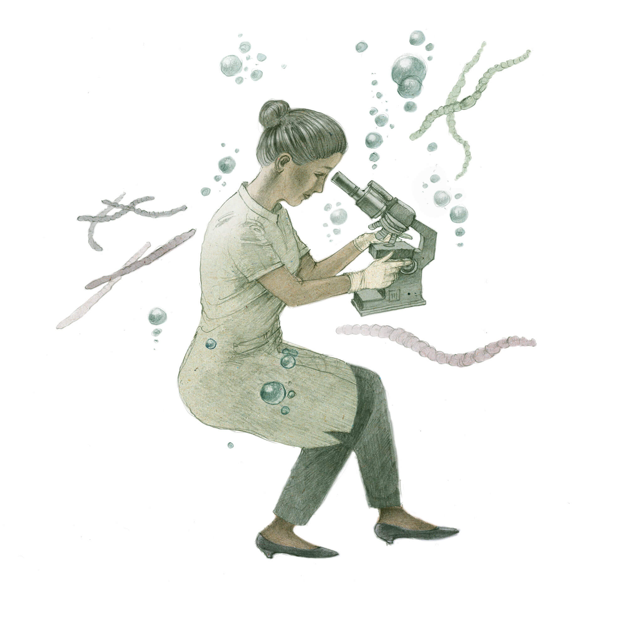 Cyanobactéries, des algues bleues pour un futur noir ? - La Salamandre