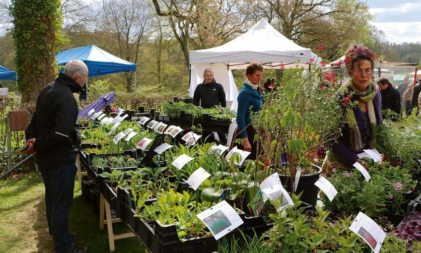 Un festival pour les plantes comestibles à Namur - La Salamandre