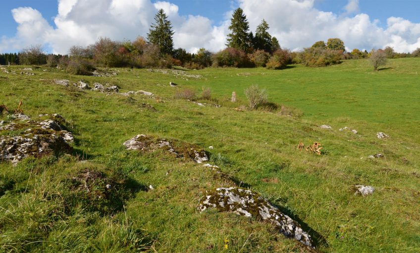 Non à la destruction du paysage jurassien par le casse-cailloux - La Salamandre