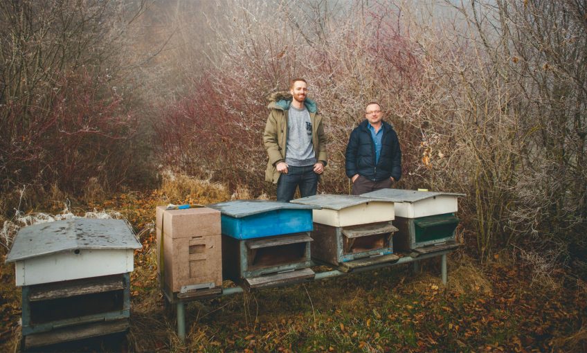 Des ruches connectées pour secourir les abeilles - La Salamandre