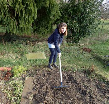 Plantez une prairie fleurie pour les insectes dans votre jardin