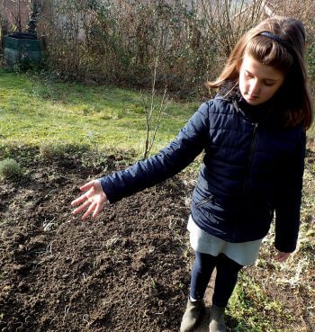 Plantez une prairie fleurie pour les insectes dans votre jardin