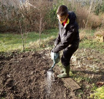 Plantez une prairie fleurie pour les insectes dans votre jardin
