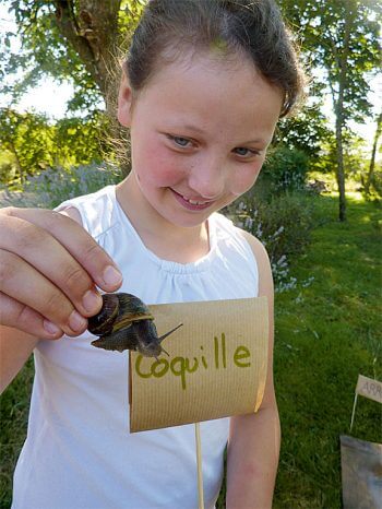 Organisez une course d'escargots ! - La Salamandre
