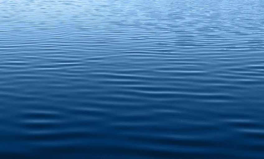 Cyanobactéries, des algues bleues pour un futur noir ? - La Salamandre