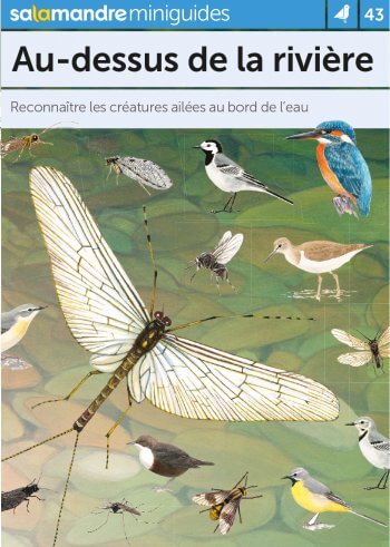 Miniguide 43 : Au-dessus de la rivière