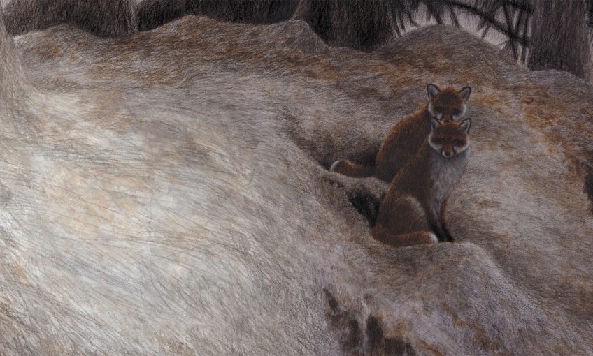 dessin de deux renards sur leur terrier