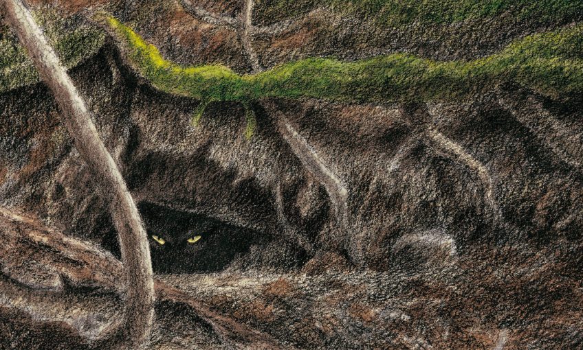 dessin de dragon dans un terrier
