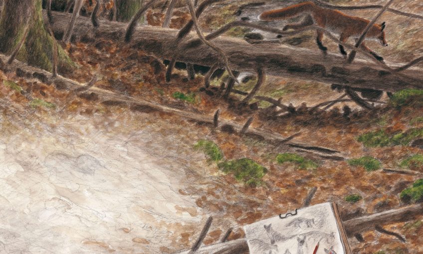 Dessin d'un renard