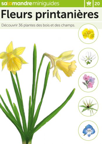 Miniguide 20 : Fleurs printanières