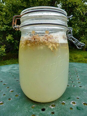 Recette de limonade au sureau