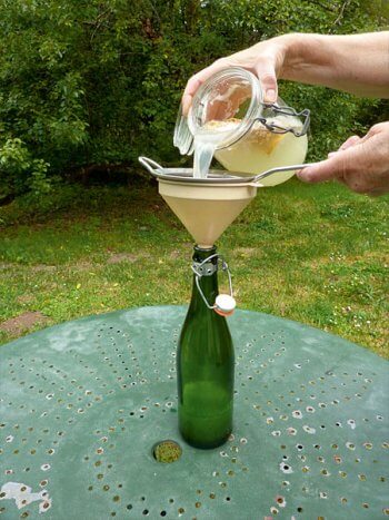Recette de limonade au sureau