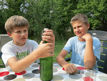 Recette de limonade au sureau
