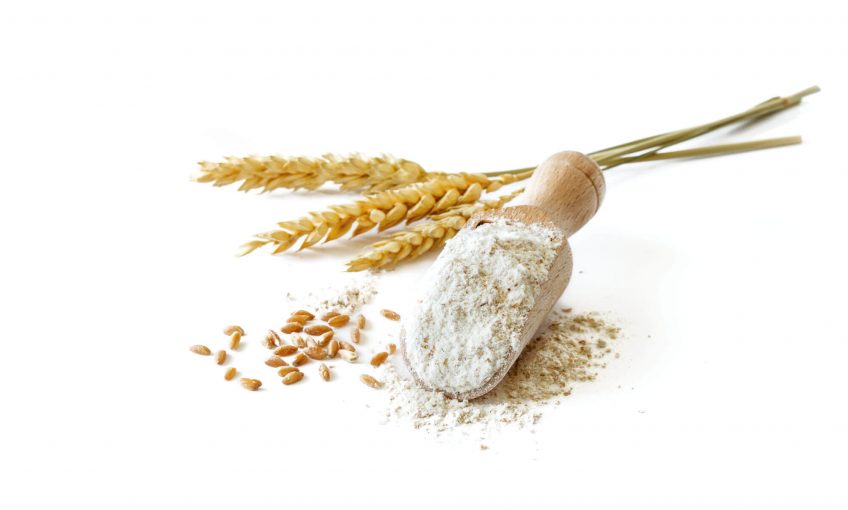 Le gluten, ennemi public ? - La Salamandre