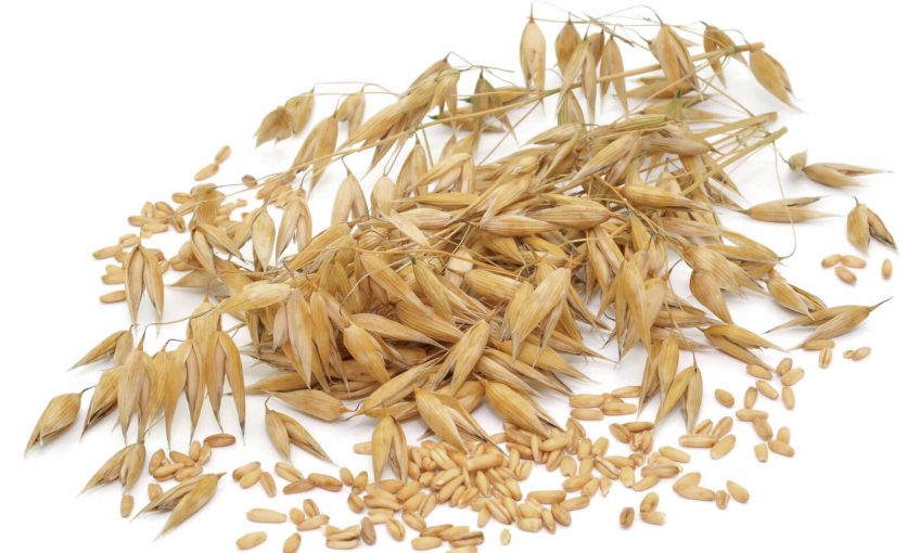 Grains de céréales - La Salamandre