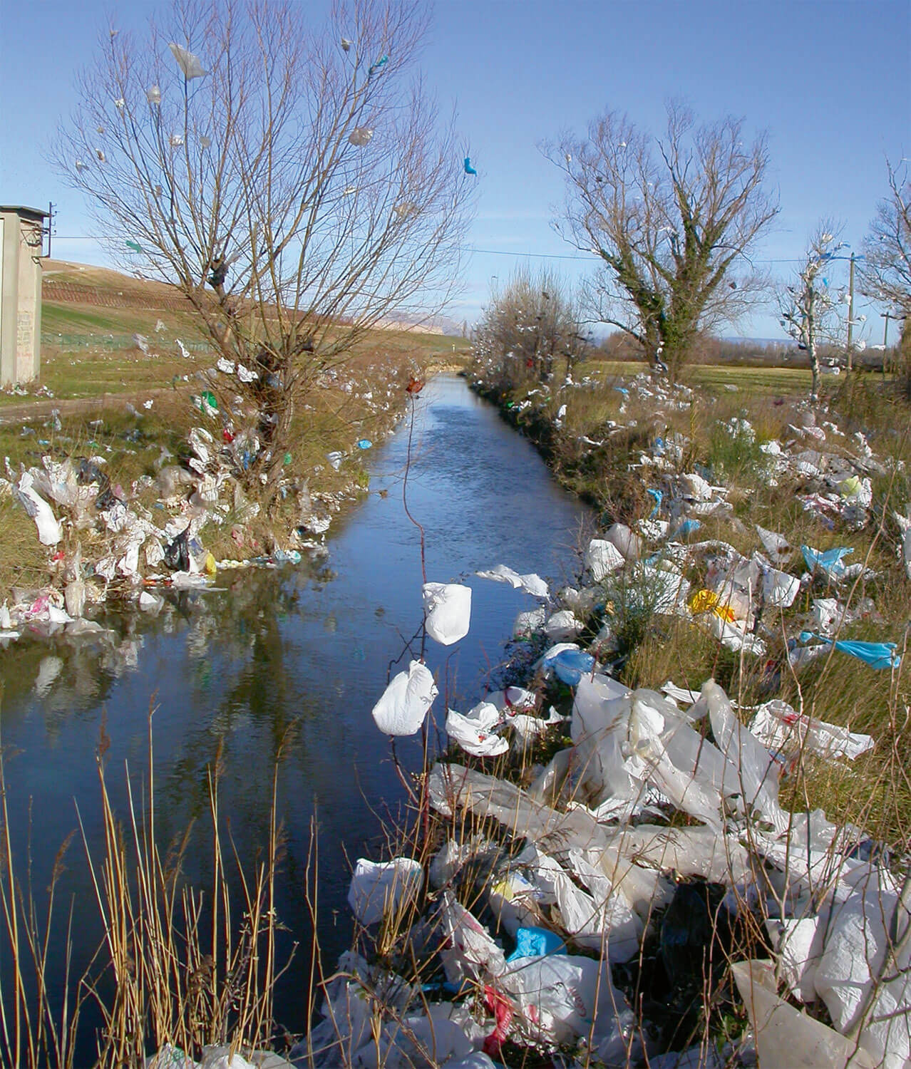 Nacicca défend la nature des Bouches-du-Rhône - La Salamandre