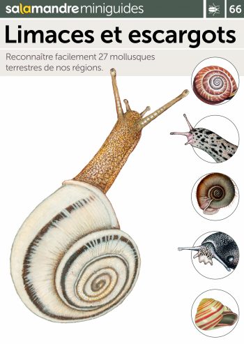 Miniguide 66 : Limaces et escargots