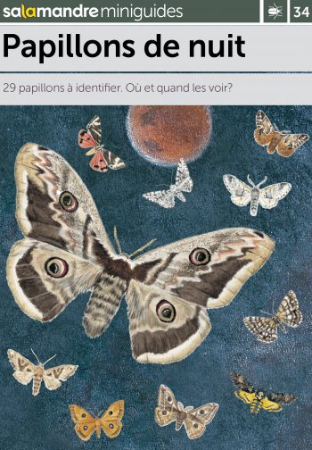 Miniguide 34: Papillons de nuit