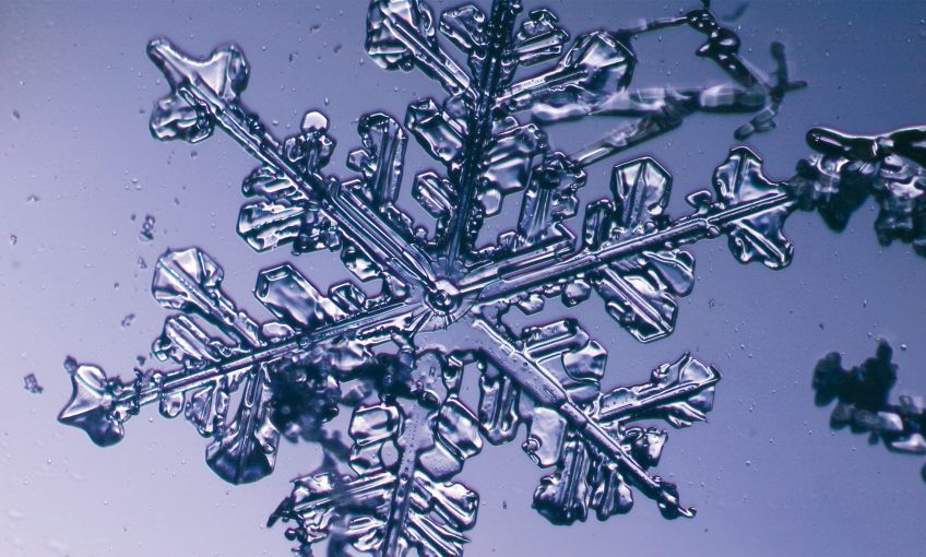 En gelant, les molécules d’eau s’organisent en hexagones, géométrie qu’on retrouve chez les précieuses émeraudes. Quand les conditions sont favorables, l’hexagone central croît de proche en proche pour former une étoile chaque fois unique au monde.